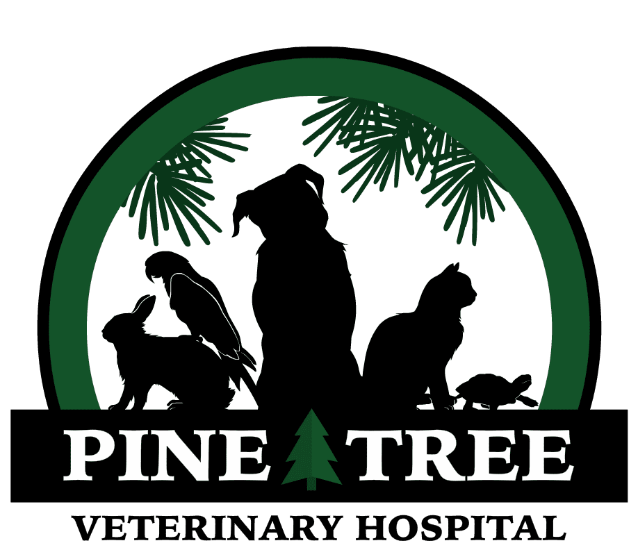 5 - CC - Pine Tree
